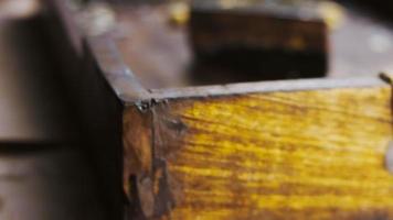 Banana chocolate cake with gold dust on a wooden tray with decorations video