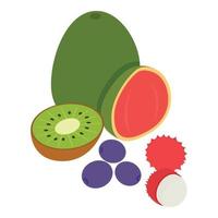 icono de fruta exótica vector isométrico. ciruela de rambután madura fresca, medio kiwi y guayaba