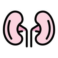 Pain kidney icon color outline vector