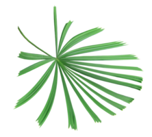 tropische natur grünes palmblattmuster, chinesische windmühle auf transparentem hintergrund png-datei png