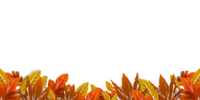 Autumn Background And Leaves On The Ground With Copy Space png