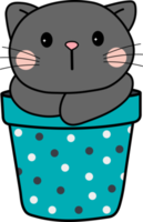 Pet kitty cat flower cute kitten cat adorable png