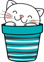 Cute pot flower pot kitten pet cute cat adorable png