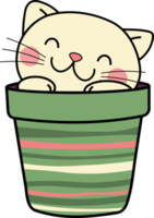 Kitty cat flower pot pet cute cat adorable