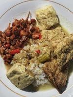 foto de un plato de comida casera, arroz con guarniciones de pescado ahumado, tofu y tempeh