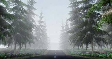 moviéndose en la carretera corta a través de los bosques de pinos en las montañas envueltas en niebla. por la mañana, el sol brilla, desciende un rayo de dios o un rayo de luz. arbustos de flores al costado de la carretera. representación 3d