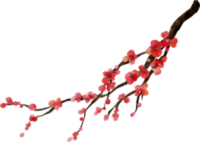 ciliegia fiorire acquerello fiore png