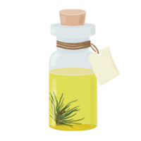 botella con aceite esencial de pino, abeto, abeto png