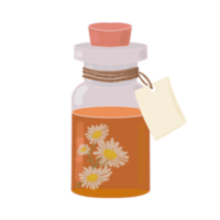 bouteille avec huile essentielle et fleur de camomille png
