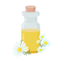 bottle with essential oil and chamomile flower png