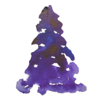 albero di natale, illustrazione dell'acquerello di pino png