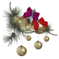 Christmas balls with bows on an evergreen spruce branch png