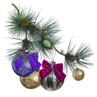 Christmas decoration balls hanging from a fir branch png