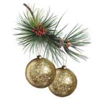 christmas golden balls hanging from a pine tree branch illustration png