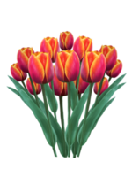 flores de tulipanes de primavera en un dibujo de ramo png