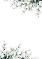 vattenfärg eukalyptus ram png