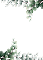acquerello eucalipto telaio png