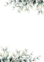acquerello eucalipto telaio png