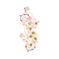 white and pink flowers with floral ornament png