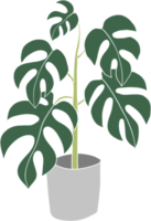 monstera fabriek uit de vrije hand tekening vlak ontwerp. png