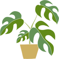 monstera fabriek uit de vrije hand tekening vlak ontwerp. png