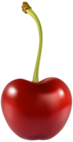 Cherry Transparent Background png