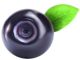 Blueberry Transparent Background png