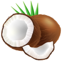 transparenter hintergrund der kokosnuss png