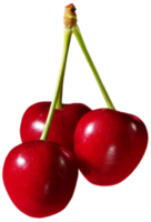 Cherries Fruit Transparent Background png