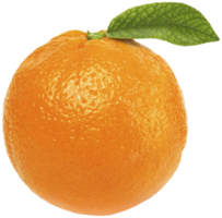 orange avec feuille png