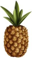 Pineapple Transparent Background