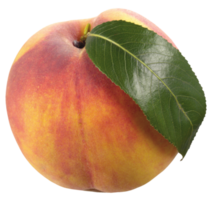 Peach with Leaf png