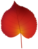 foglia d'autunno rosso png