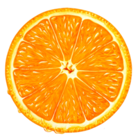 fatia de laranja fundo transparente png