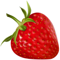 Strawberry Transparent Background png