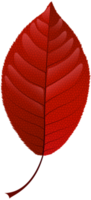 feuille d'automne rouge png