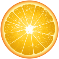 Orange Slice Transparent Background