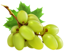 raisins blancs fond transparent png