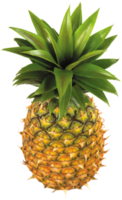 ananas fruit transparant achtergrond png