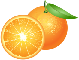 Oranges Transparent Background png