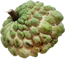 Custard Apple Fruit Ausschnitt wahr png