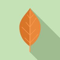 Tree leaf icon flat vector. Autumn fall vector