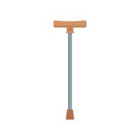 Walking stick icon flat isolated vector