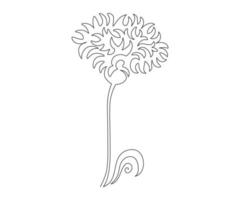 abstract cornflower flower in the style of one line art vector