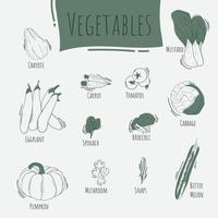 Vegetables with the name in line art design for restaurant background template vector