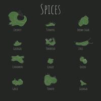 List of spices in line art and flat design for food background vector