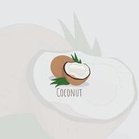 ilustración de vector de coco con diseño de hoja de coco para diseño de plantilla de fondo de restaurante