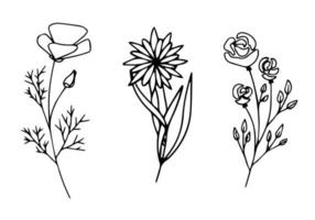 Botanical doodle set. A bunch of floral ornaments, hand drawn with contour lines. Elegant vector illustration.