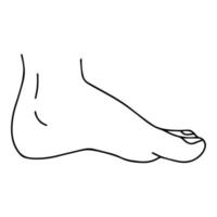 Vector Cartoon outline, Top view of Human man Left and right foot standing. Hand drawn linear sketchy. You can use this image for fashion design and etc.