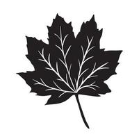 Maple leaf black vector icon silhouette isolated on white background. Pictogram of flora botanical leaf can be found at fall season drawing with simple flat shapes.